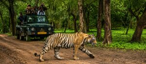 Golden Triangle Tour with Ranthambore