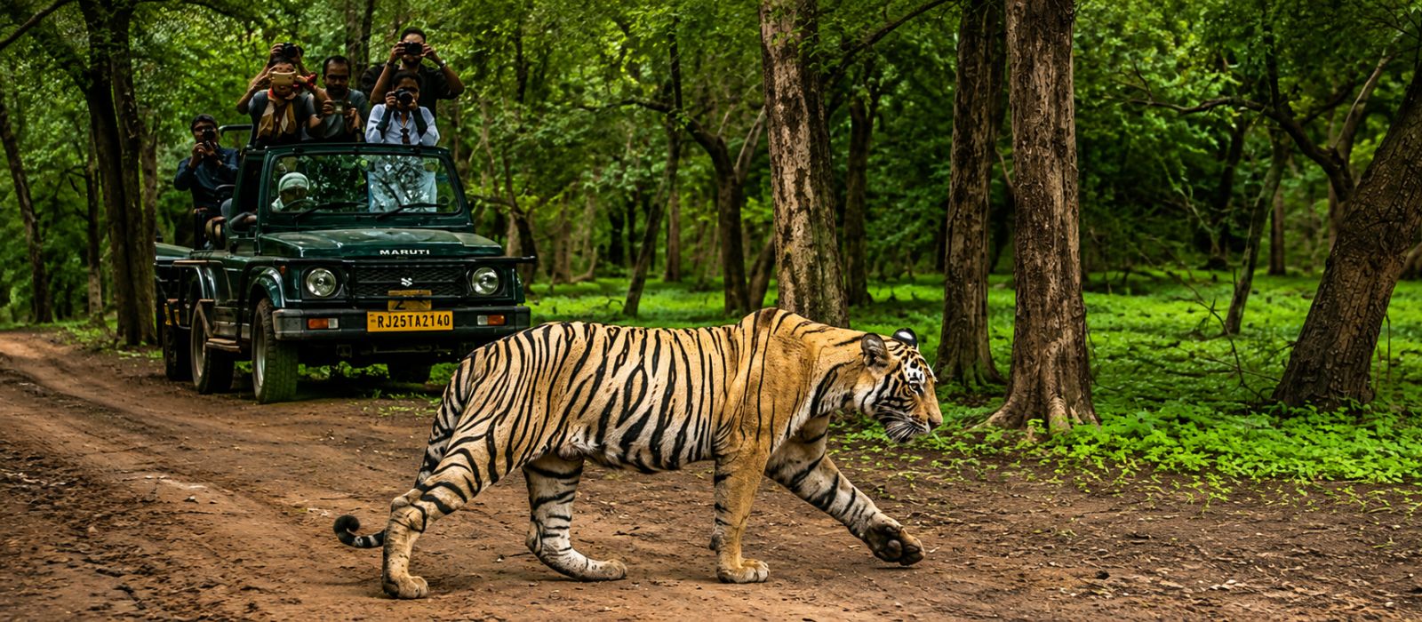 Golden Triangle Tour with Ranthambore
